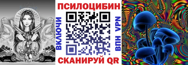 хочу   Тбилисская  kraken зеркало  Псилоцибиновые грибы Psilocybine cubensis 